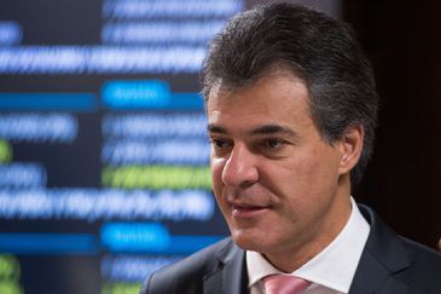 Macaque in the trees