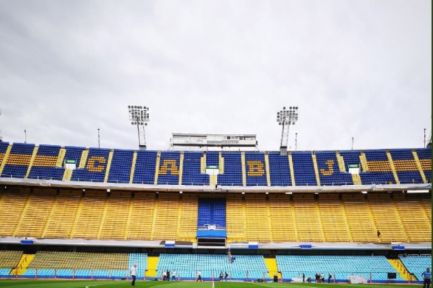 Macaque in the trees