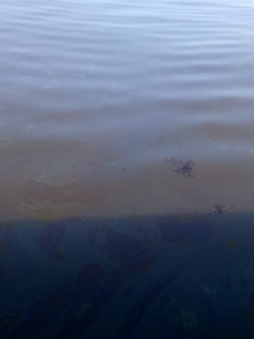 Imagens da BaÃa de Guanabara (Foto: Fotos de leitor)