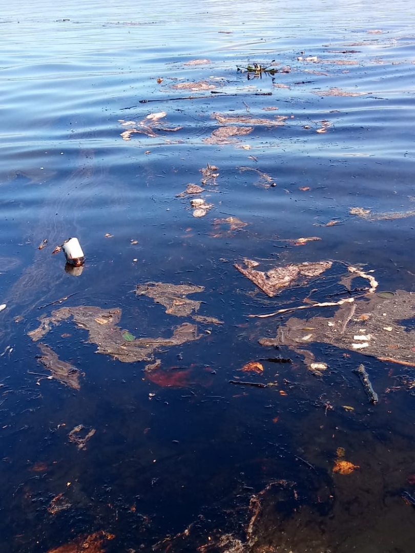 Imagens da BaÃa de Guanabara (Foto: Fotos de leitor)