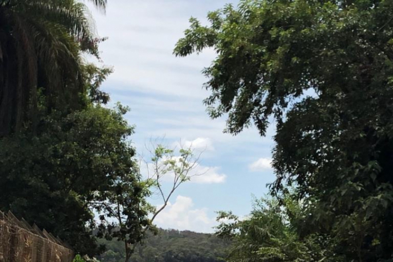Rompimento da barragem em Brumadinho (Foto: Nairo Alméri)