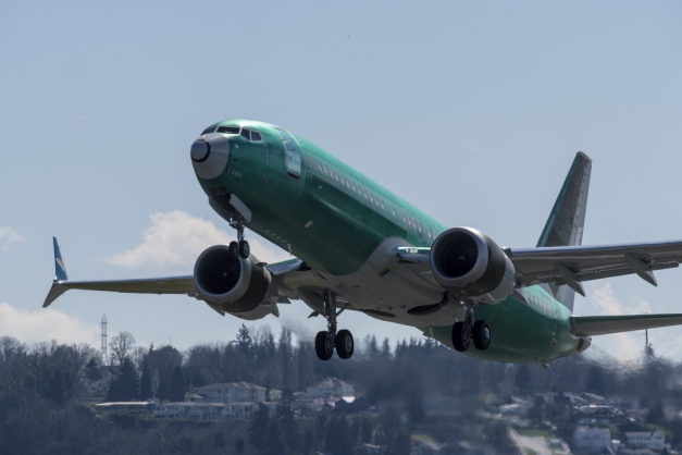 Avião Boeing 737 MAX Macaque in the trees