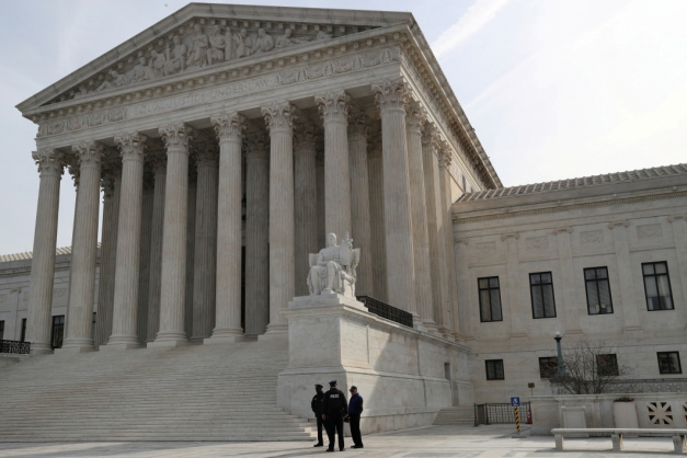 Macaque in the trees