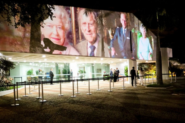 Macaque in the trees