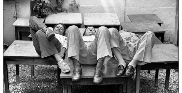 Foto histórica do fotojornalista Evandro Teixeira é um dos destaques da ArtRio Macaque in the trees