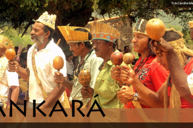 Macaque in the trees