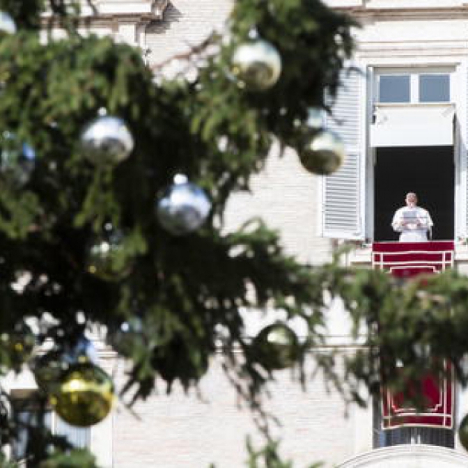 Macaque in the trees