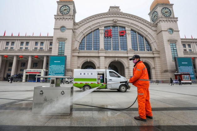 Macaque in the trees