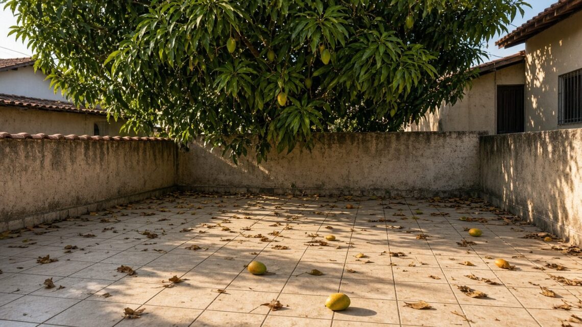 Galhos de mangueira do terreno vizinho sobre o muro de um quintal com folhas e mangas caídas no chão