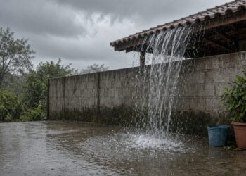 Água da chuva caindo do telhado do vizinho direto num quintal molhado, formando uma poça perto de um vaso