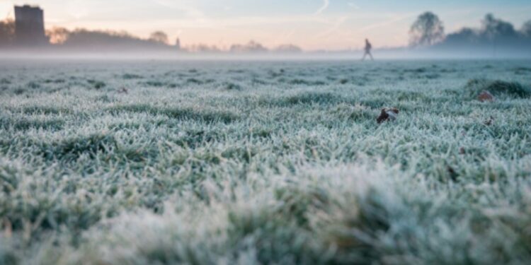 Geada na região sul do Brasil