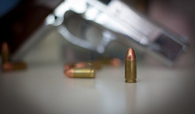 Porte de arma está liberado no Brasil para cidadãos que trabalham nessas empresas