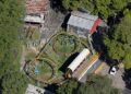 Parque mais antigo do Brasil atrai mais de 4 mil visitantes por mês