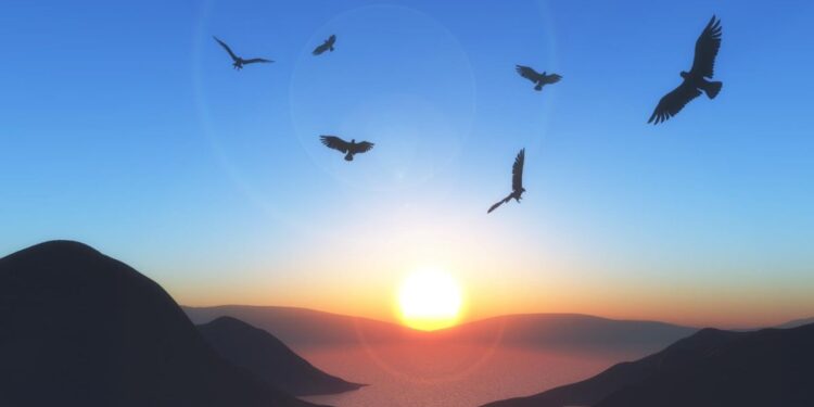 Aves no céu