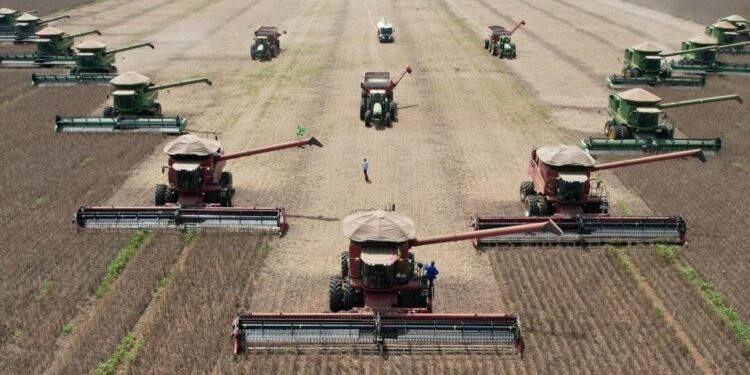 Maior fazenda de soja do Brasil impressiona pelo tamanho visto do alto