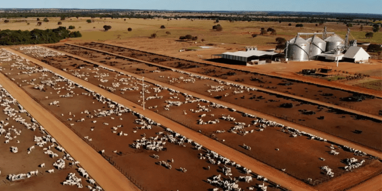 Maior fazenda do Brasil ocupa território maior que muitas cidades