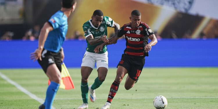 Flamengo e Palmeiras podem se enfrentar na Libertadores